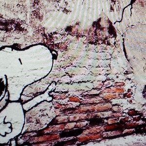 Meet your Posher, Brenda